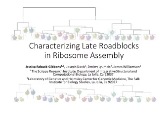Characterizing Late Roadblocks  in Ribosome Assembly Jessica Rabuck-Gibbons 1,2 ,  Joseph Davis 1 ,