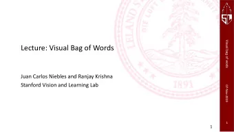 Lecture: Visual Bag of Words  Juan Carlos Niebles and Ranjay Krishna  Stanford Vision and Learning