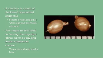 thickened, specialized  segments.  Secrete a mucus ring into  which egg and sperm are  released