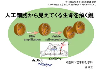 V*  +  V  +  +  C@DNA  dsDNA