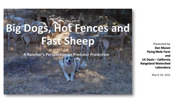 Big Dogs, Hot Fences and  Fast Sheep  Presented by  Dan Macon  Flying Mule Farm  A Ranchers