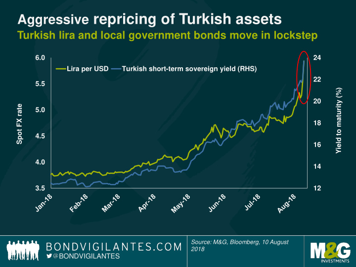aggressive repricing of turkish assets