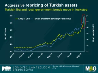 Aggressive repricing of Turkish assets  Turkish lira and local government bonds move in lockstep