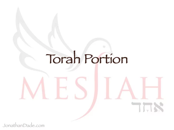 t t o orah portion bamidbar