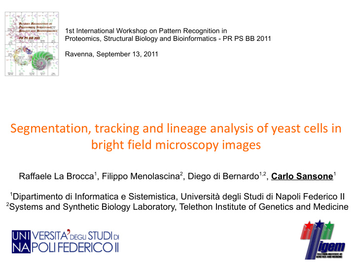 segmentation tracking and lineage analysis of yeast cells