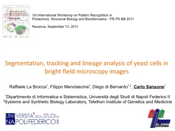 Segmentation, tracking and lineage analysis of yeast cells in  bright field microscopy images