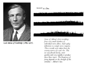 V1  MT  Hubel and Wiesel, 1968  Maunsell and V  an Essen, 1983  Relating MT responses to visual