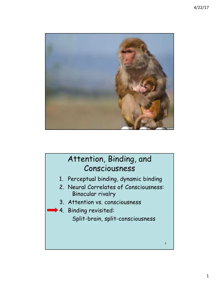 attention binding and consciousness