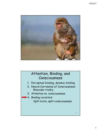 Attention, Binding, and  Consciousness  1.  Perceptual binding, dynamic binding  2. Neural