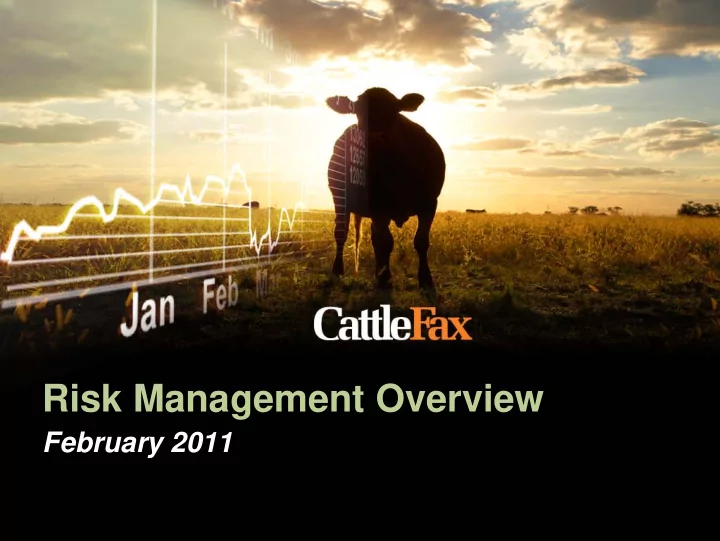 risk management overview