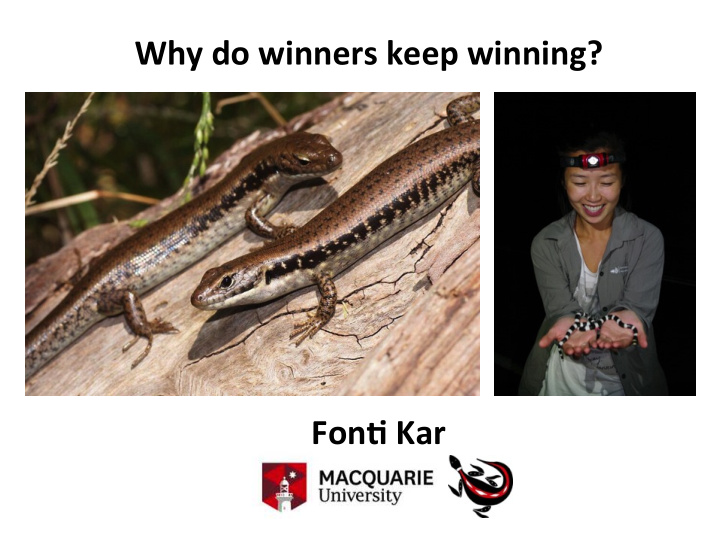 why do winners keep winning fon2 kar animals fight