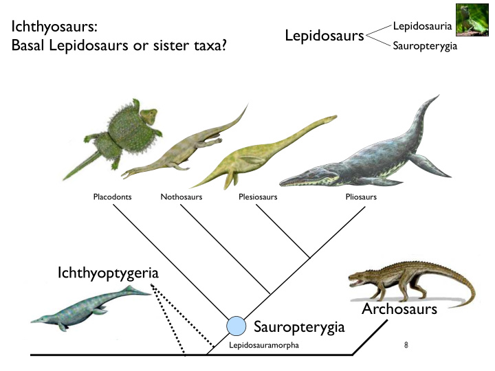 ichthyosaurs