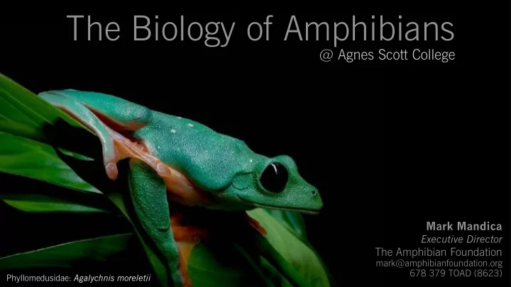 the biology of amphibians