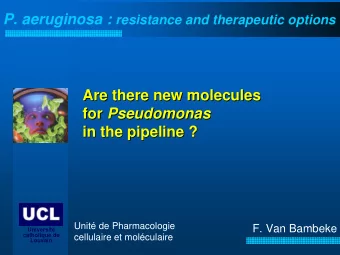 Are there new molecules  Are there new molecules for Pseudomonas  for  Pseudomonas  in the pipeline