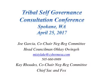 Joe Garcia, Co-Chair Neg-Reg Committee  Head Councilman Ohkay Owingeh  mistylake@cybermesa.com