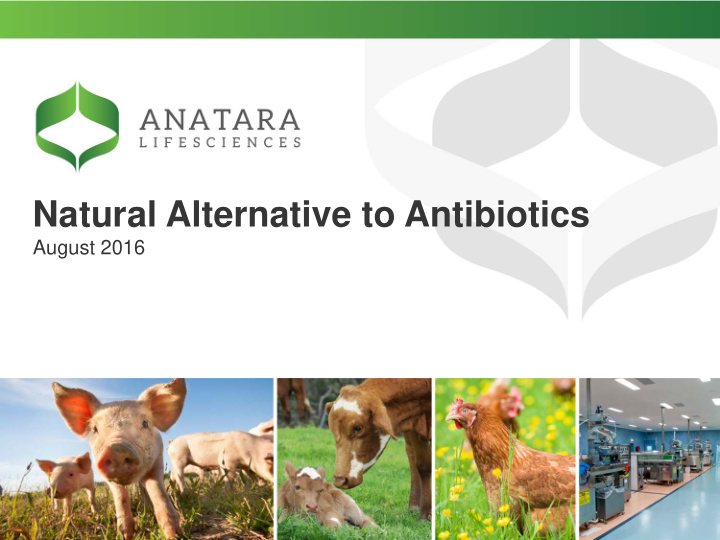 natural alternative to antibiotics
