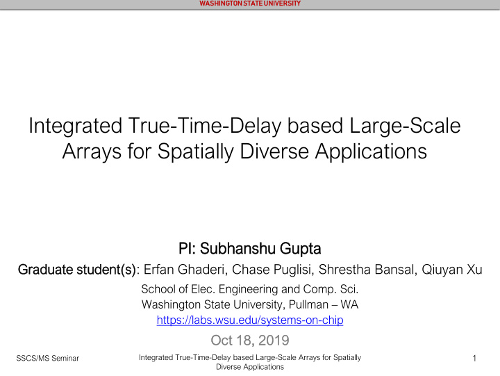 integrated true time delay based large scale