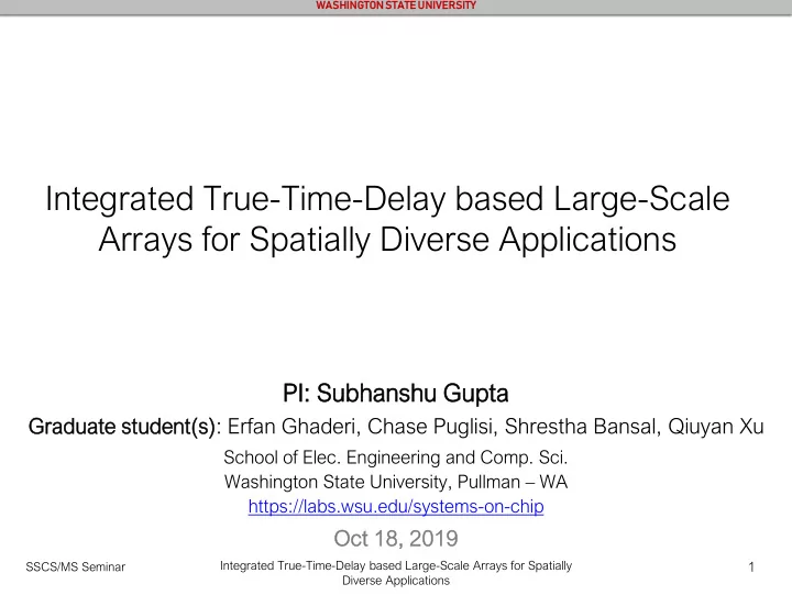 integrated true time delay based large scale
