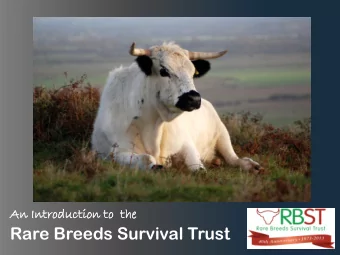 Rare Breeds Survival Trust  John Halmshaw   Registered Charity  in its 40 th Year    Patron