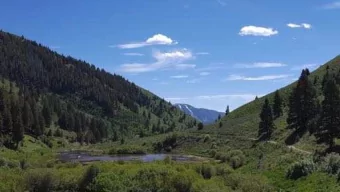 Bob Simpson  President  Cypress College  Welcome and Introductions  Barbara Dunsheath  President