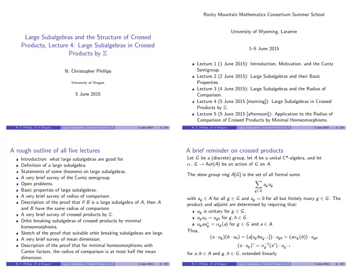 large subalgebras and the structure of crossed products