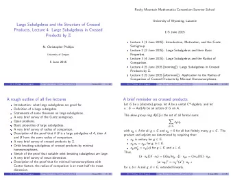 Large Subalgebras and the Structure of Crossed  Products, Lecture 4: Large Subalgebras in Crossed
