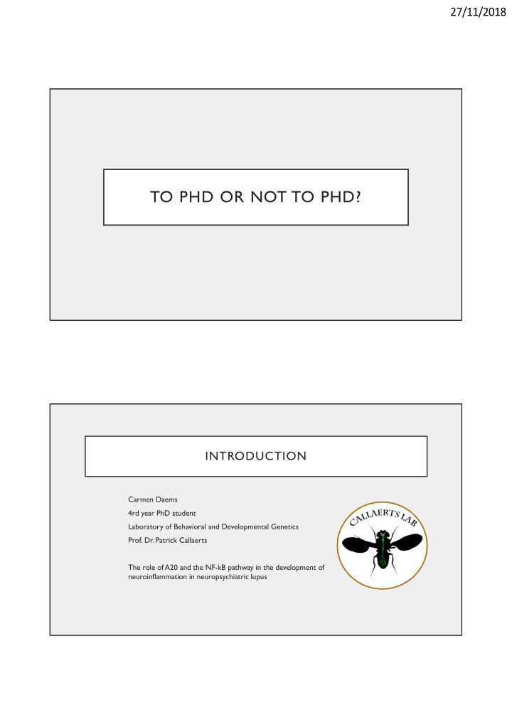 to phd or not to phd