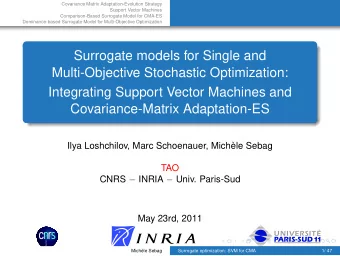Surrogate models for Single and  Multi-Objective Stochastic Optimization:  Integrating Support