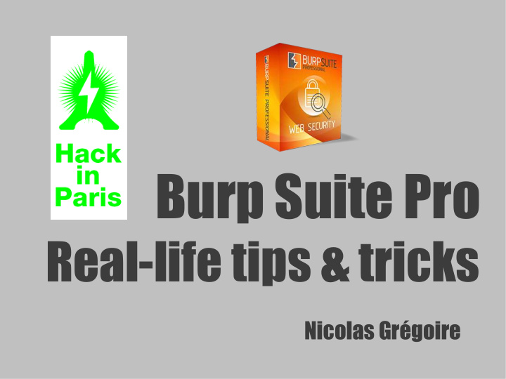 burp suite pro