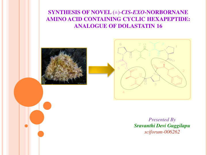 synthesis of novel cis exo norbornane