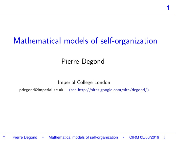 mathematical models of self organization