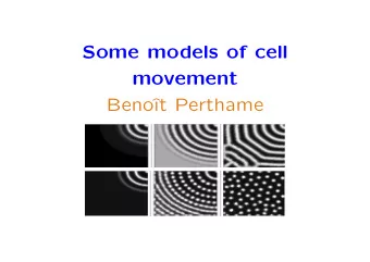Some models of cell  movement  Beno    t Perthame  OUTLINE OF THE LECTURE  I.  Why study