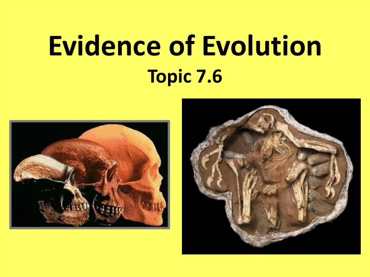 evidence of evolution