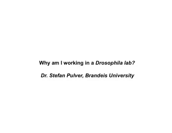Why am I working in a Drosophila lab? Dr. Stefan Pulver, Brandeis University The advantages of