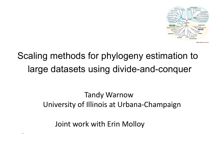 scaling methods for phylogeny estimation to large