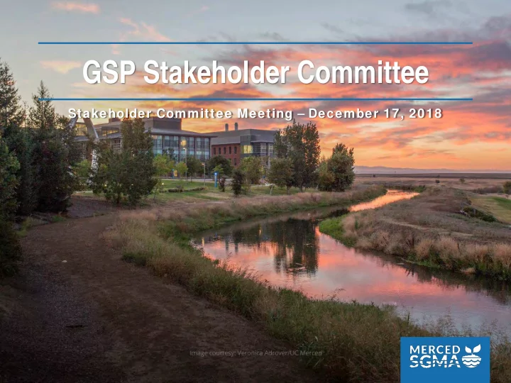 gsp stakeholder committee