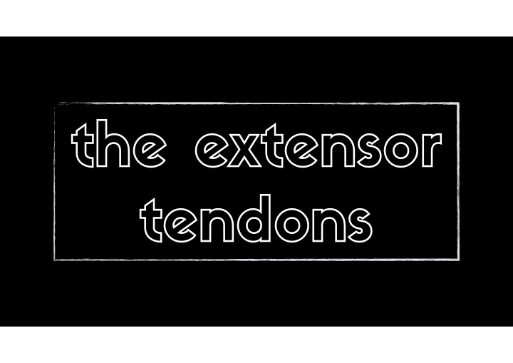 the extensor tendons