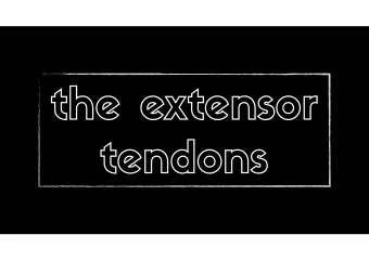 the extensor  tendons  extensor tendon  mallet finger  image credit: James Heilman, MD on wikimedia