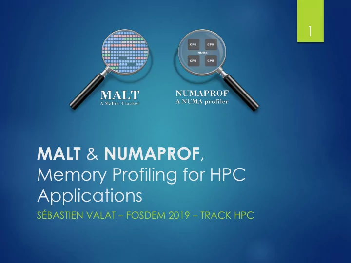 malt numaprof