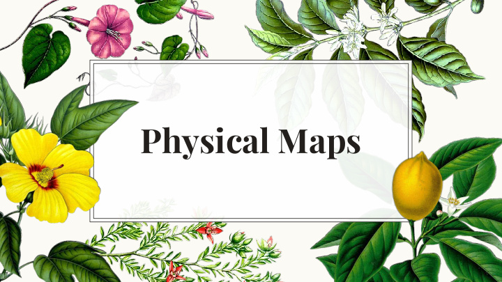 physical maps physical maps