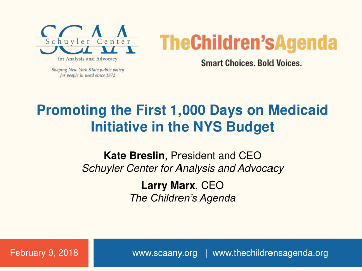 initiative in the nys budget