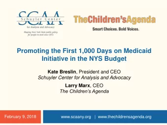 Initiative in the NYS Budget Kate Breslin , President and CEO  Schuyler Center for Analysis and