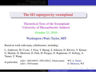 The 6D supergravity swampland  Theoretical Tests of the Swampland  University of Massachusetts