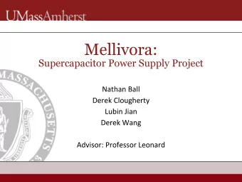 Mellivora:  Supercapacitor Power Supply Project  Overview  Team Introduction  Project