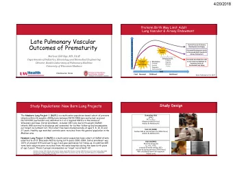 Late Pulmonary Vascular  LUNG VASCULAR &amp; AIRWAY DENSITY  Outcomes of Prematurity  Normal