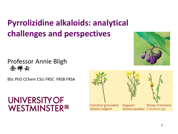 pyrrolizidine alkaloids analytical challenges and