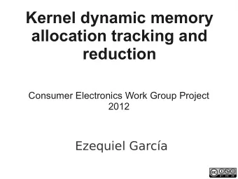 Kernel dynamic memory  allocation tracking and  reduction  Consumer Electronics Work Group Project