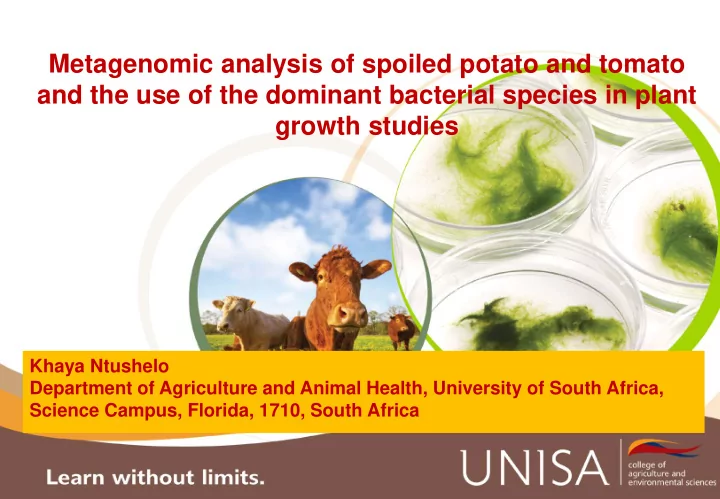 metagenomic analysis of spoiled potato and tomato and the