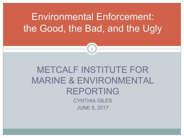 environmental enforcement the good the bad and the ugly