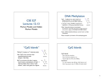 DNA Methylation CpG  - 2 adjacent nts, same strand (not CH 3  CSE 527  Watson-Crick pair; p